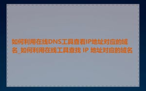 如何利用在线DNS工具查看IP地址对应的域名_如何利用在线工具查找 IP 地址对应的域名