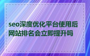 seo深度优化平台使用后网站排名会立即提升吗
