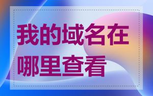 我的域名在哪里查看