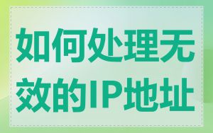 如何处理无效的IP地址