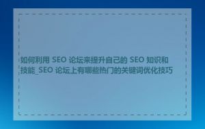 如何利用 SEO 论坛来提升自己的 SEO 知识和技能_SEO 论坛上有哪些热门的关键词优化技巧
