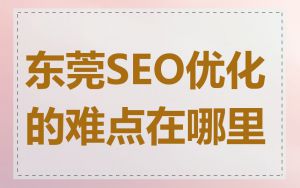 东莞SEO优化的难点在哪里