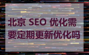 北京 SEO 优化需要定期更新优化吗