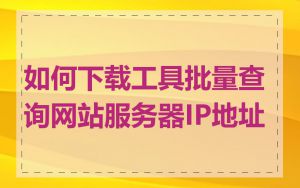 如何下载工具批量查询网站服务器IP地址