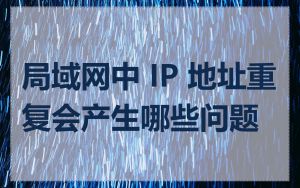 局域网中 IP 地址重复会产生哪些问题
