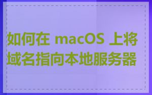 如何在 macOS 上将域名指向本地服务器