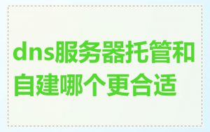 dns服务器托管和自建哪个更合适