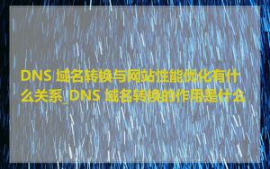 DNS 域名转换与网站性能优化有什么关系_DNS 域名转换的作用是什么