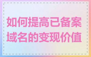 如何提高已备案域名的变现价值