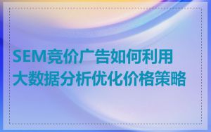 SEM竞价广告如何利用大数据分析优化价格策略