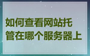 如何查看网站托管在哪个服务器上