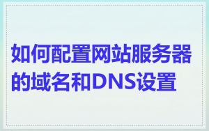 如何配置网站服务器的域名和DNS设置