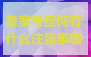 备案号查询有什么注意事项