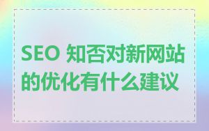 SEO 知否对新网站的优化有什么建议