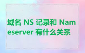 域名 NS 记录和 Nameserver 有什么关系