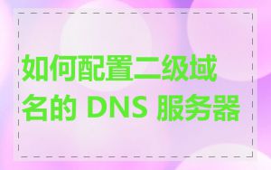 如何配置二级域名的 DNS 服务器
