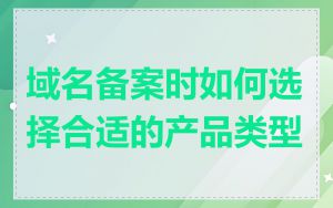 域名备案时如何选择合适的产品类型
