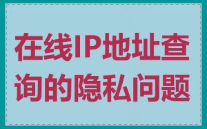 在线IP地址查询的隐私问题