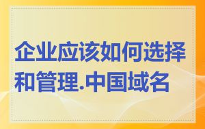 企业应该如何选择和管理.中国域名