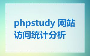 phpstudy 网站访问统计分析