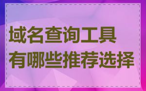 域名查询工具有哪些推荐选择