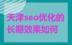 天津seo优化的长期效果如何
