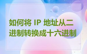 如何将 IP 地址从二进制转换成十六进制
