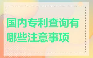 国内专利查询有哪些注意事项