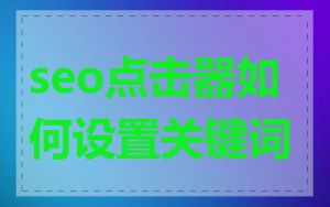 seo点击器如何设置关键词