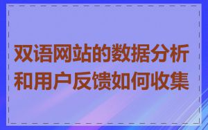 双语网站的数据分析和用户反馈如何收集