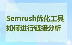 Semrush优化工具如何进行链接分析