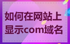 如何在网站上显示com域名