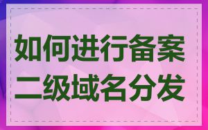 如何进行备案二级域名分发