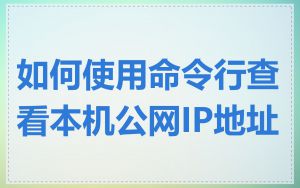 如何使用命令行查看本机公网IP地址