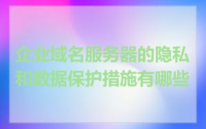 企业域名服务器的隐私和数据保护措施有哪些