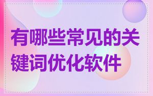 有哪些常见的关键词优化软件