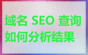 域名 SEO 查询如何分析结果