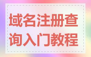 域名注册查询入门教程