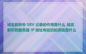 域名解析中 SRV 记录的作用是什么_域名解析到服务器 IP 地址有延迟的原因是什么