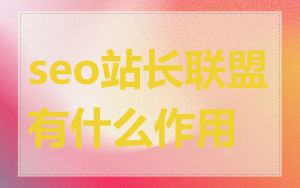 seo站长联盟有什么作用