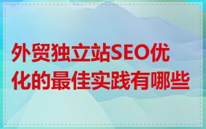 外贸独立站SEO优化的最佳实践有哪些
