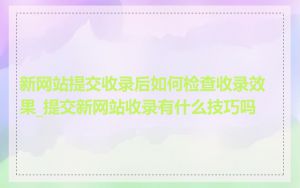 新网站提交收录后如何检查收录效果_提交新网站收录有什么技巧吗