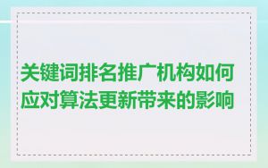 关键词排名推广机构如何应对算法更新带来的影响