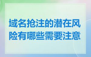 域名抢注的潜在风险有哪些需要注意