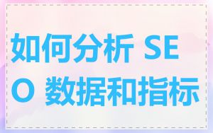 如何分析 SEO 数据和指标