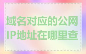 域名对应的公网IP地址在哪里查