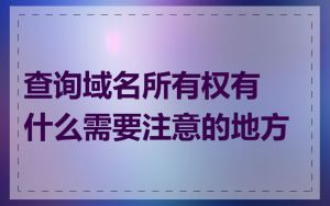 查询域名所有权有什么需要注意的地方