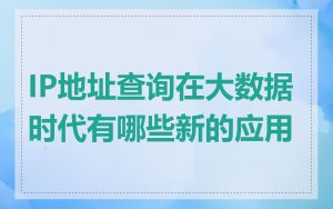 IP地址查询在大数据时代有哪些新的应用