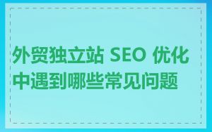 外贸独立站 SEO 优化中遇到哪些常见问题