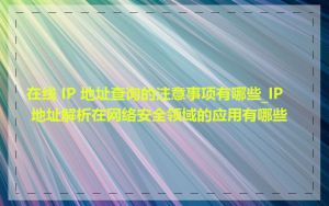 在线 IP 地址查询的注意事项有哪些_IP 地址解析在网络安全领域的应用有哪些